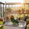 Automatic Circulating Bird Bath Tabletop Bathtub for Parrots Daily Use Shower Basin Pet Bathing Supplies Birds Accessoires