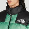 THE NORTH FACE Jackets Unisex Green Stand Collar Moderate Other NF0A3Y23-N11