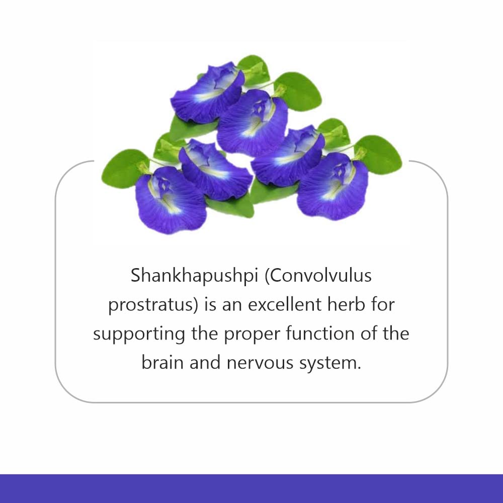 Jain Shankhapushpi Convolvulus Pluricalis Pure Powder 400 G Pack Of 1 For Wellness & Cognitive Support