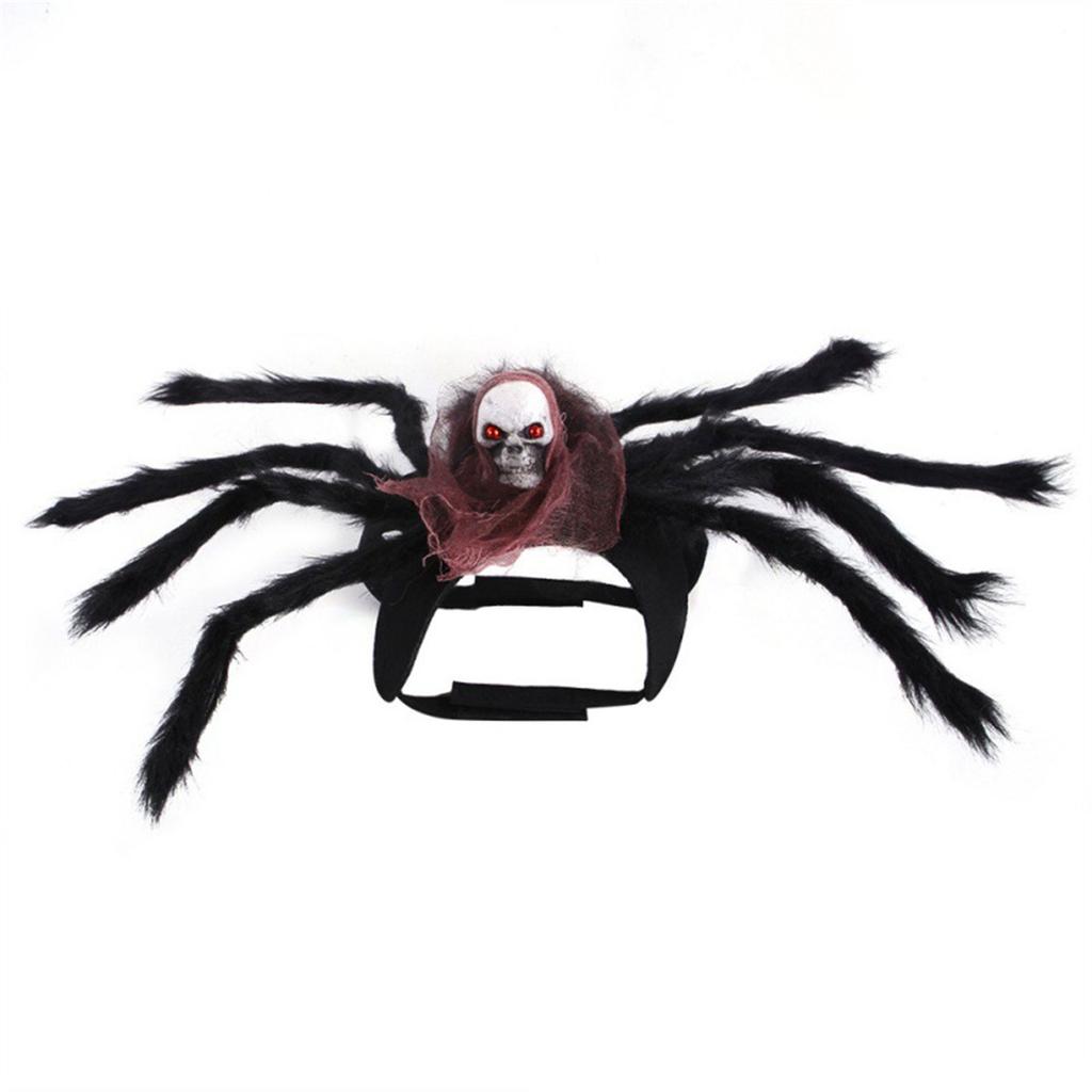 Cat SpiderCostume Photography Outfit Small Medium Dog Halloween Novelty Costume