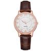 WomenWatches Diamond Luminous Watch Women's Belt Women's Watch Quartz Watch Diamond Jewelry Luminous Diamond