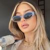 New Vintage Women Sunglasses Small Retro Glasses Women/Men Leopard Eyeglasses Women  Designer UV400 Gafas De Sol