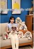 Easter Bunny Plush Toy: Long-Eared Chubby Rabbit Doll for Kids