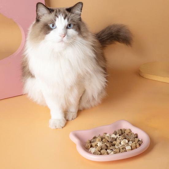 4Pcs Cat Bowl Plastic Anti-Tipping Feeding Bowl Weighted Structure Feeding and Drinking Bowl Spill Proof Pet Bowl for Cats and Dogs Durable Pet Food