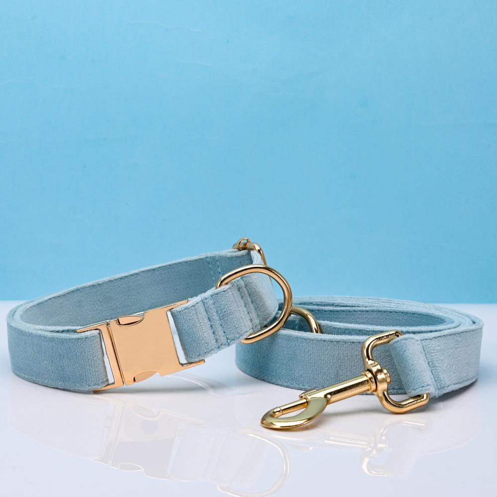 Ensemble collier et laisse pour chien en velours gravé avec boucle métallique réglable