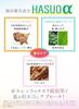 Saimdang Premium 4K Actress Perfect Skin Rich Foundation Gold Case Refill SPF50+/PA++++ (1 Included)