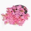 50/100 Stück Mini Gänseblümchen Künstliche Blumenköpfe Seide DIY Bilderrahmen Foto Requisiten Heimdeko Muttertag Hochzeit Dekoration