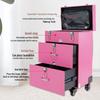 Lishen Professional Rolling Makeup Trolley Case
