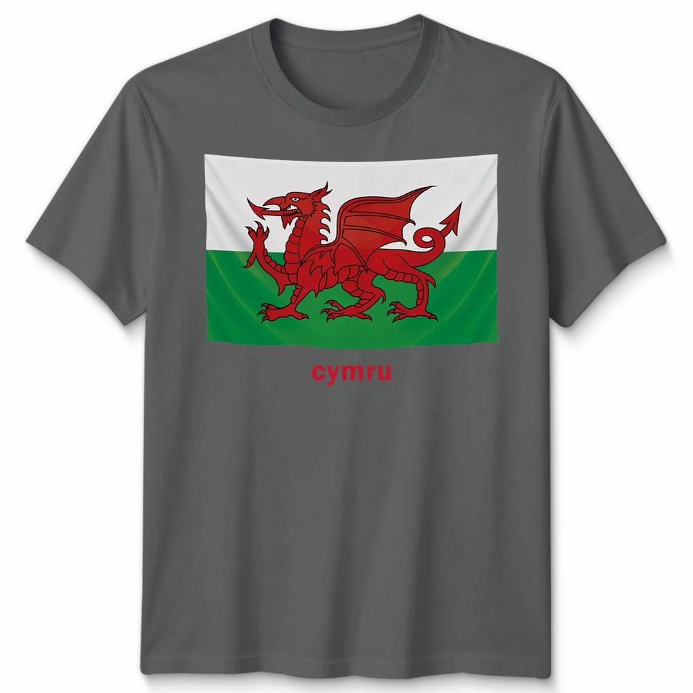 Wales Cymru Welsh Flag Unisex Tshirt Patriotic Welsh Pride Apparel