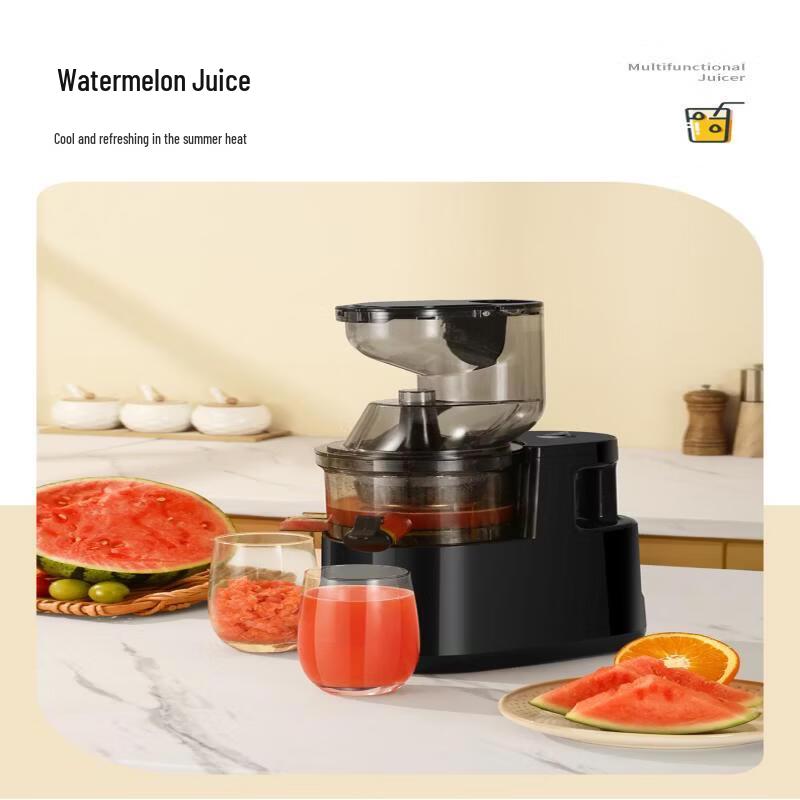 OLOEY Slow Masticating Juicer