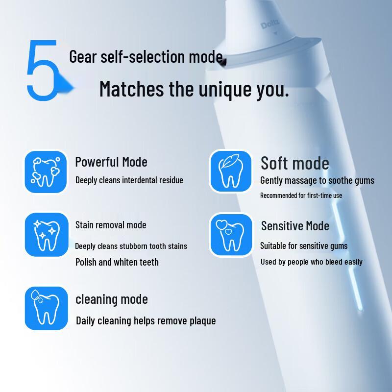 Panasonic DC31 Sonic Electric Toothbrush CN plug (adapter included)