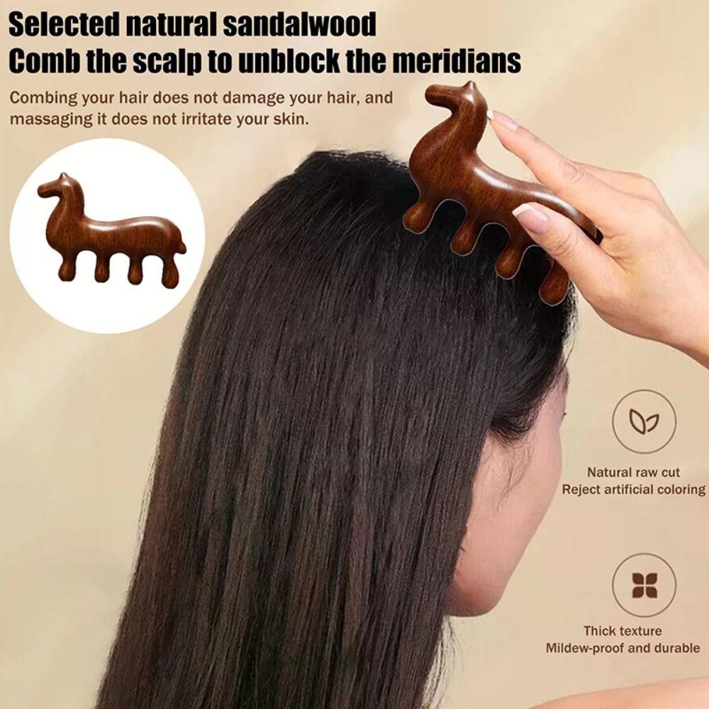 Sandalwood Scalp Point Massage Brush Coarse Tooth Body Meridian Massage Comb  Meridian Therapy