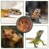 Reptile Feeding Bowls 120 Pcs Crested Gecko Food And Water Feeding Cups, For Lizard And Small Pet Ledge Supplies Feeder