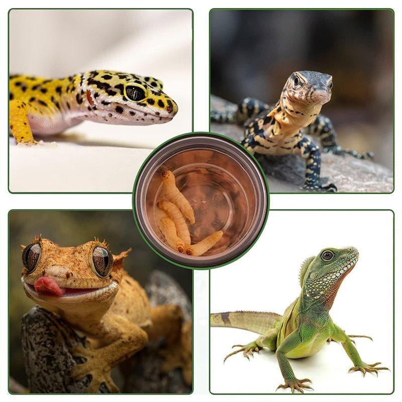 Reptile Feeding Bowls 120 Pcs Crested Gecko Food And Water Feeding Cups, For Lizard And Small Pet Ledge Supplies Feeder