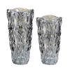 Clear Glass Flower Vase, Thickened Crystal Vase for Decoration