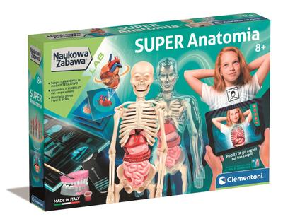 Science Fun. Super Anatomy