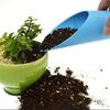 Plastic Bucket Shovel Ideal for Fleshy Plants and Micro Landscape Planting