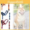 Perros – Collares y correas