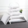 30*50/40*40/45*45/50*50/40*60/50*70cm 100% Cotton Goose Down Queen King Feather Chair Sofa Back Cushion Pad Bed Pillow