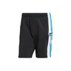 adidas Originals Adicolor Adibreak Shorts IV5339