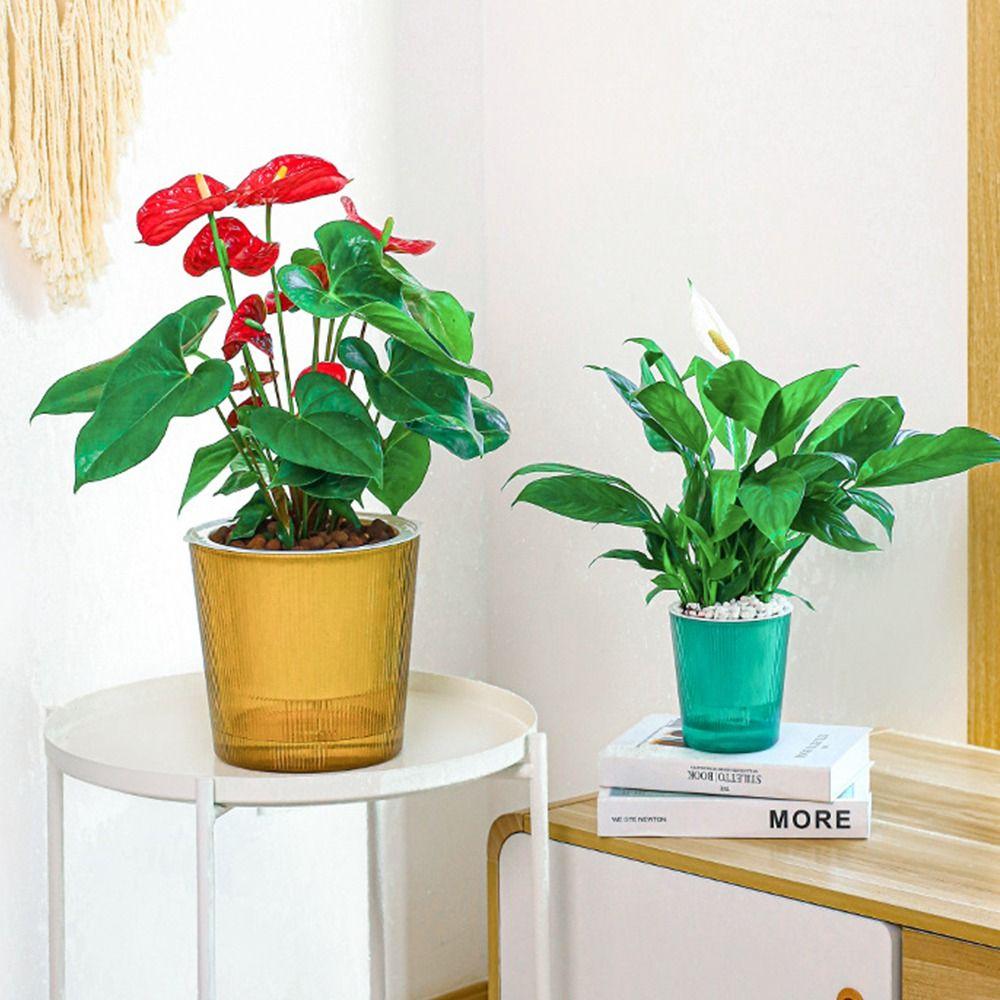 Succulent plant Hydroponics Watering Planter Self Watering Flower Pot Lazy Flowerpot Self-watering