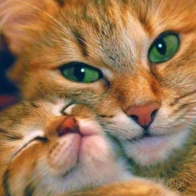 50X50CM 5D DIY Diamond Painting Portrait Girl Dance Full Square Round Mosaic Diamond Rhinestone Picture Woman Home Decor