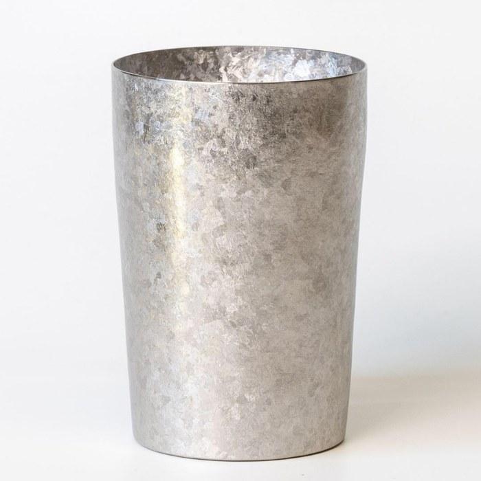 HORIE Titanium Double Wall Tumbler Kamoyaki Light 270ml, Silver