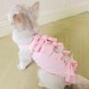 Cat Post-Surgery Recovery Suit - Breathable, Anti-Lick Wear for Medication and Weaning