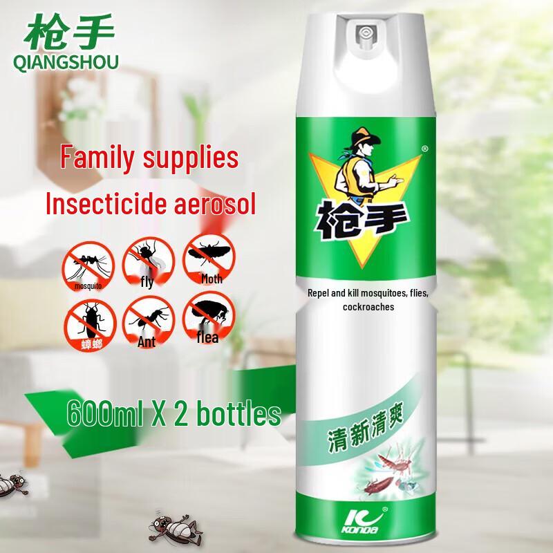 Raid Insecticide Aerosol Spray
