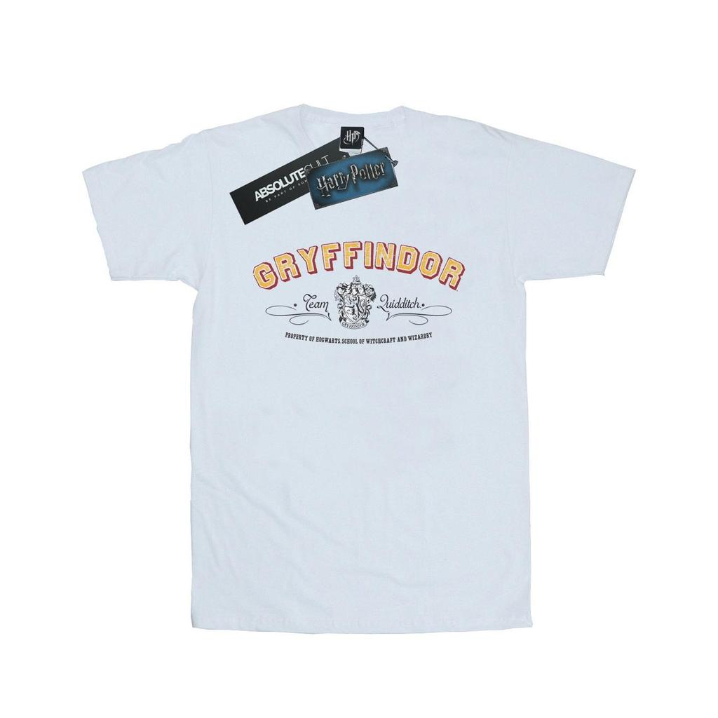 Harry Potter Mens Gryffindor Team Quidditch T-Shirt