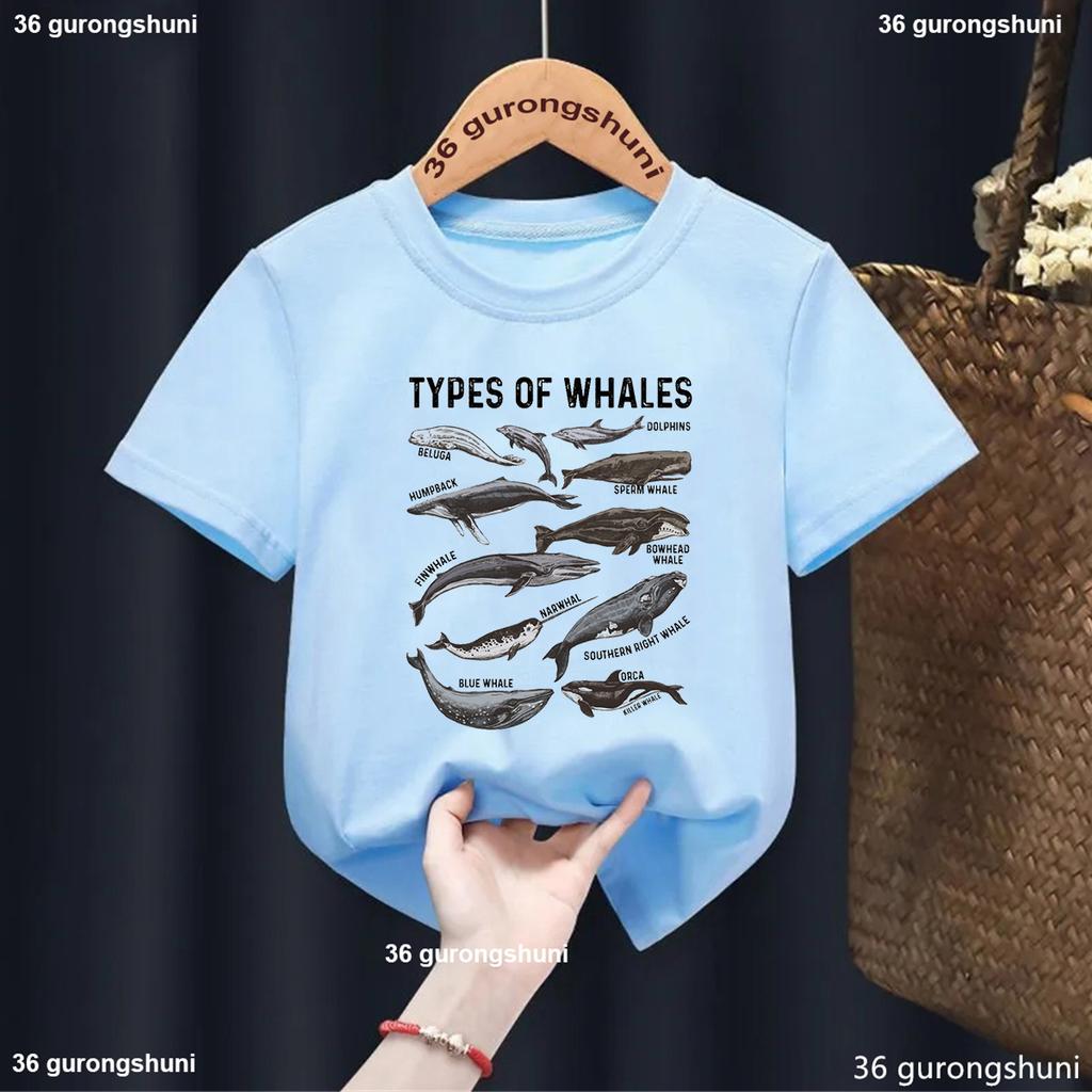 Newly Childern Tshirt Whales Of The World Graphic Print Cute BoysGirls Summer Fashion Harajuku Short Sleeve Solid TShirt Tops