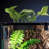 Hydrokultur-Lagerregal, 5 Löcher, Aquarium-Pflanzenstützen, Regal für Aquaponik-Anbau, Aquascape-Dekorationen
