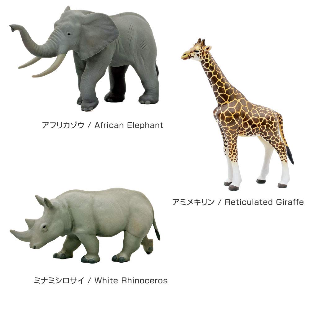 Calorata Animal Geography Zone 1 3D Encyclopedia Ethiopian Animals with Realistic Figures Birthday Gift Sanitation Law Animal Toy Figure Gift (12 /