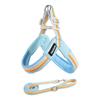 Puppy chest back leash Small and medium-sized dog V-shaped rainbow chest back set Adjustable soft pet dog supplies