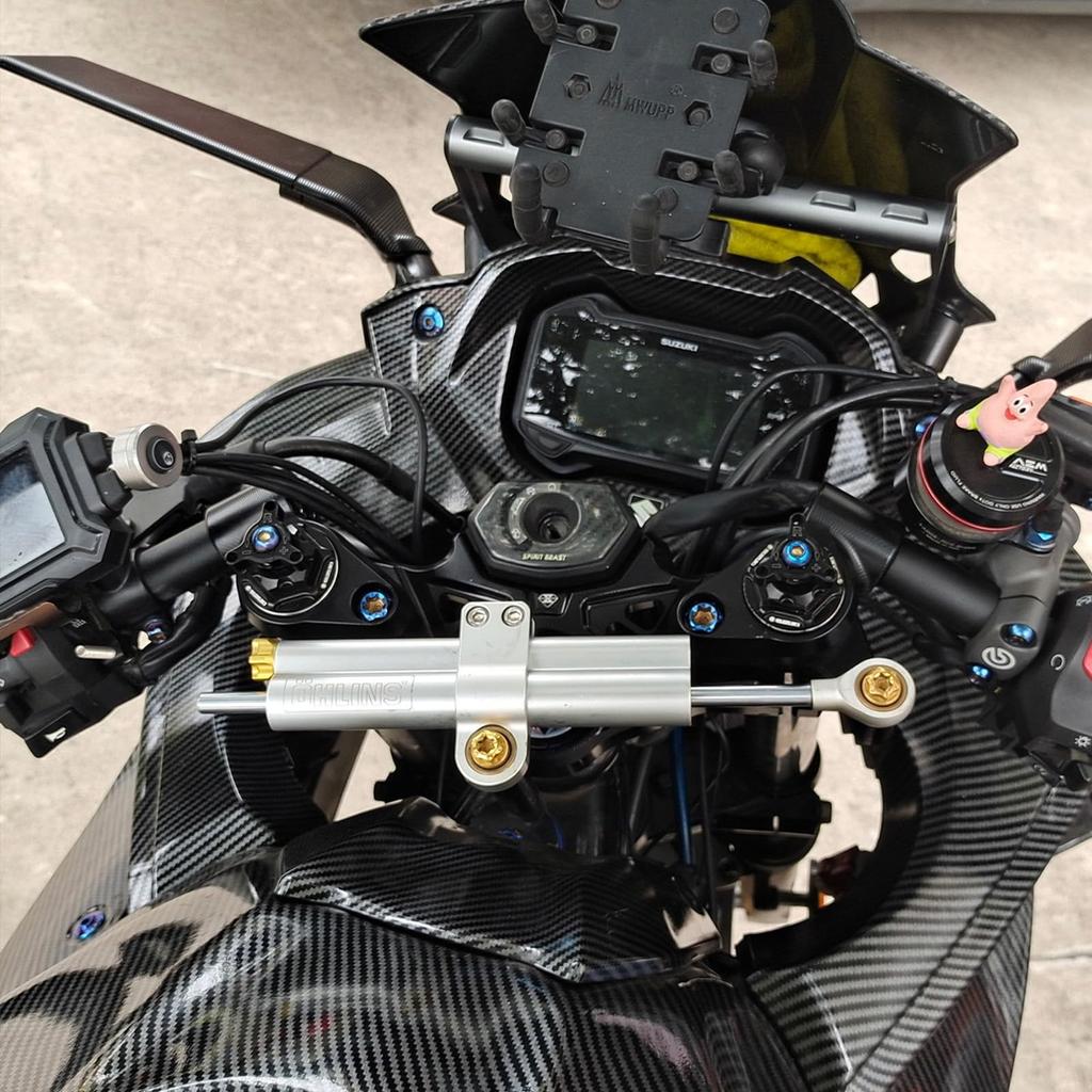 LEDISHUN Motorcycle Equipment Initial Adjuster Type (Left and Right 1 Set) Fits Suzuki GSX250R V-Strom 250 GSR250 All Years (Titanium)