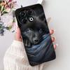 Voor Techno Spark 30 Pro 4G KL7 Cover Voor Tecno Spark 30 Pro 4G Hoesje Luxe Vlinder Liefde Mode Bloemen Cool Leeuw Schattig Geschilderd