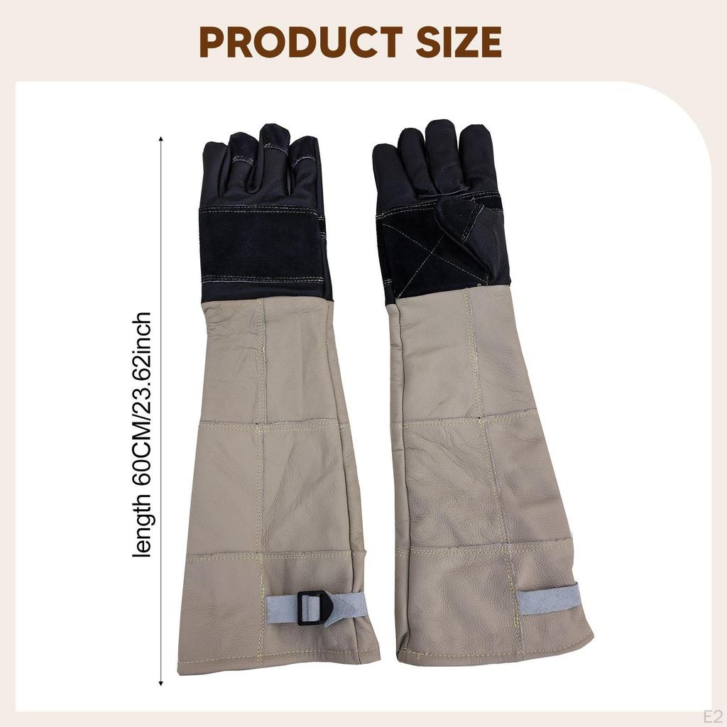 Djurhanteringshandskar Arbetskydd Vattentäta Betttåliga Husdjurshandskar för Burfågel