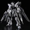 RG Strike Freedom Gundam Deaktivierter Modus Plastikmodell Bandai 1/144 ZGMF-X20A (Premium Exklusiv)