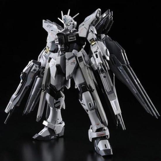RG Strike Freedom Gundam Deactive Mode Plastic Model Bandai 1/144 ZGMF-X20A (Premium Exclusive)