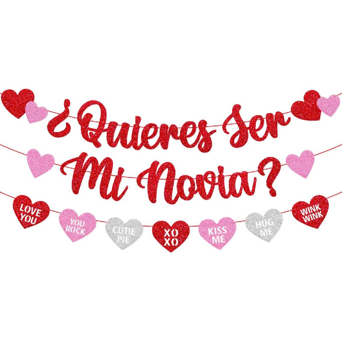 Quieres Ser Mi Novia Banner Will You Be My Girlfriend Banner Happy Valentines Day Be My Valentine Spanish Décor Red Romantic Proposal Engagement