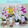 New Four Flower Small Round Orchid Desk Plant With Artificial Flowers For Home Decor And Office Use