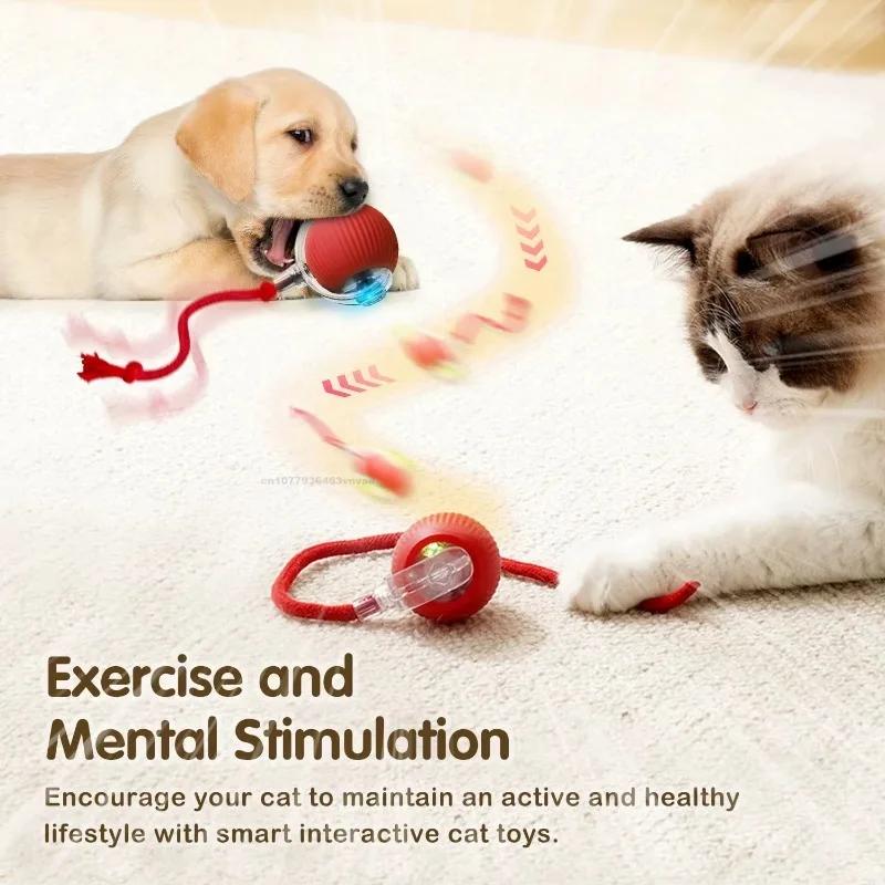 Interactive Toys for Cats Rechargeable Cat Exercise Wheel Interactive Cat Motion Toy Cat Pet Interaction Automatic Rolling Ball