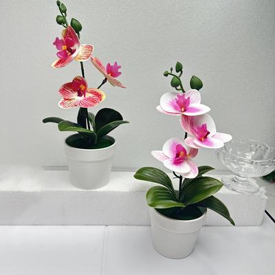 Fake Flower Plant Phalaenopsis Bonsai Easy To Style