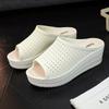 Cool Slippers Women Summer Slope Heel Thick Sole Wear Beach Shoes, Mesh Hollow Slippers Foreign Trade Wholesale