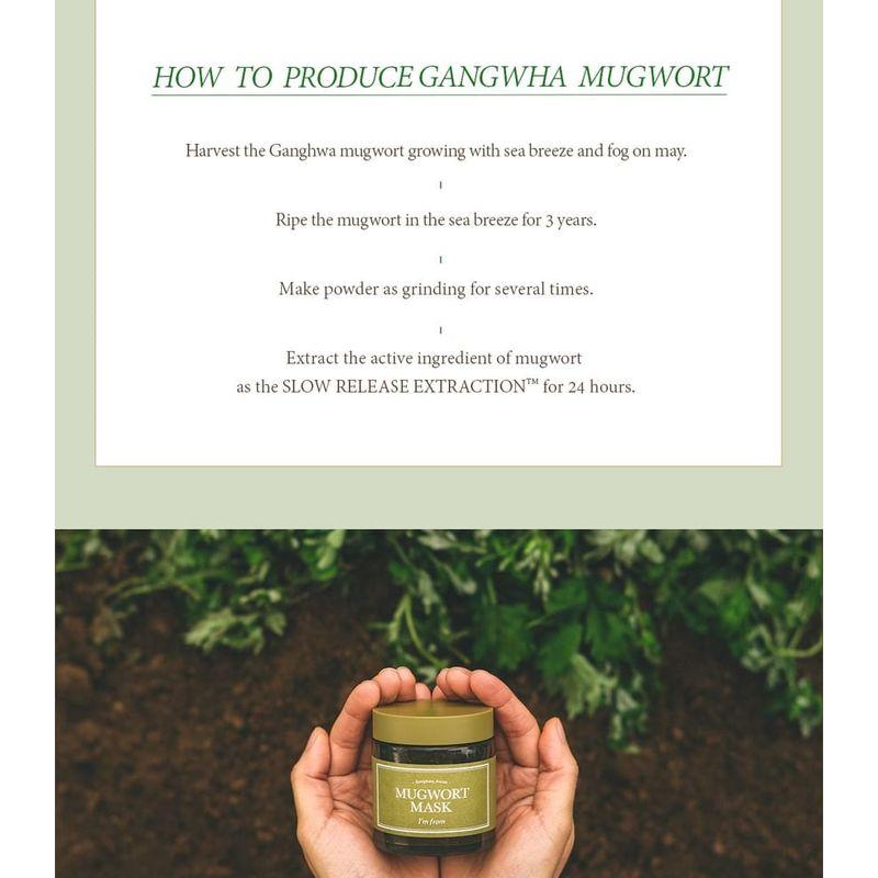 I'm from - Mugwort Mask Bundle Set