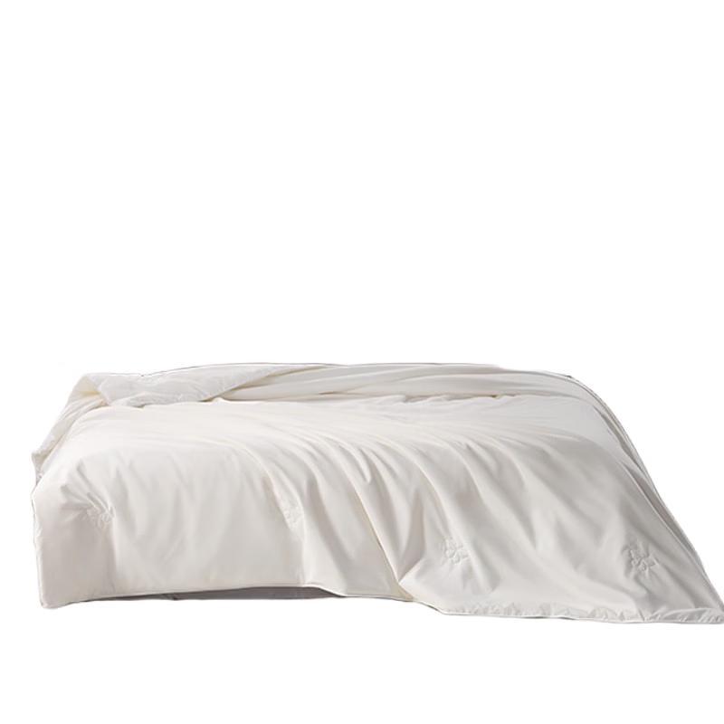 Mercury Home Textiles 100% Tussah Silk Washable Summer Quilt