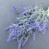 1 Stück nordischer Stil 8 Köpfe Wolle Weizenähren Lavendel simulierte Blume Tischblumenarrangement DIY Kunststoff künstlicher Strauß