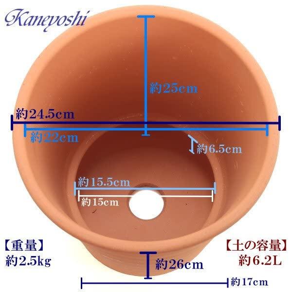 KANEYOSHI Ceramic Flower Flower with 8 Made in Japan with Reliable Domestic Quality Mikawa-yaki Pot, Road, Red-Glazed, No. Plate,