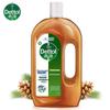 Dettol Laundry Disinfectant Liquid 750mL