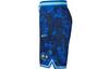 Nike Sports Shorts Men's Blue Moderate DJ4035-405